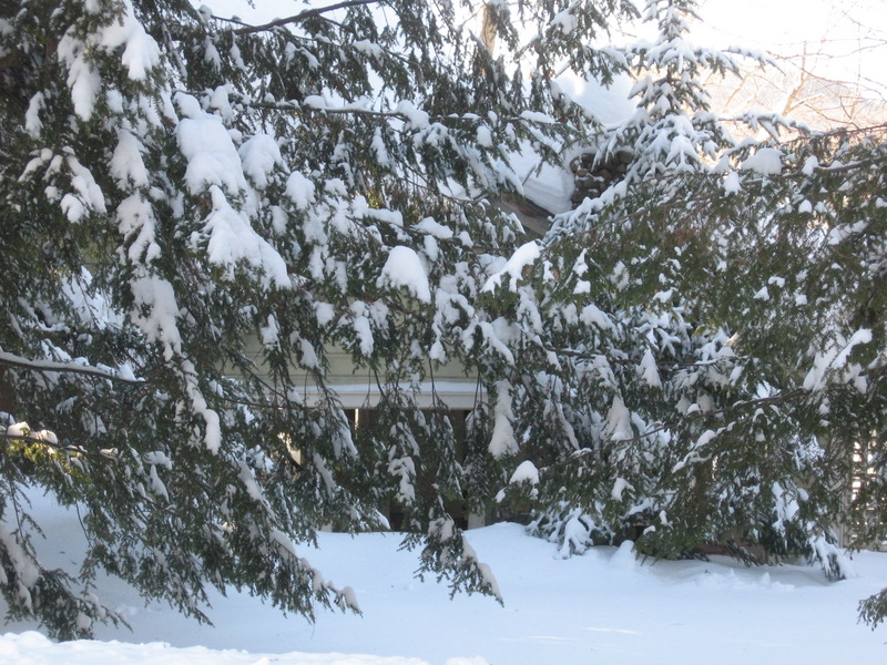 snow storm 2-14-07 076